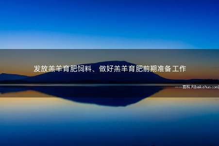 发放羔羊育肥饲料、做好羔羊育肥前期准备工作