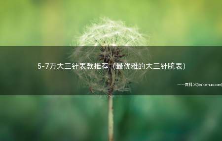 5-7万大三针表款推荐(最优雅的大三针腕表)