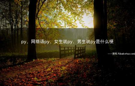 py、网络语py、女生说py、男生说py是什么梗(py交易的通俗点就是潜规则,内涵的“走后门”的意思!)
