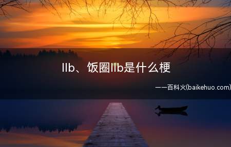 llb、饭圈llb是什么意思（Llb、饭圈llb什么意思）