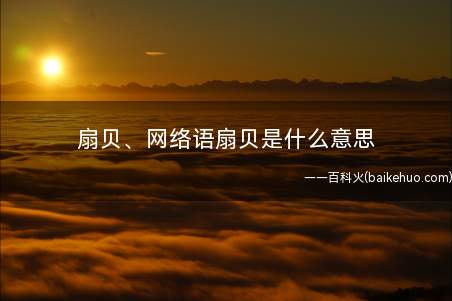 扇贝、网络语扇贝是什么梗（扇贝、网络语扇贝是什么意思）