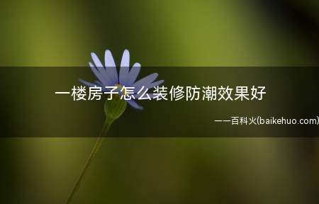 一楼房子怎么装修防潮效果好(一楼房子装修注意什么)