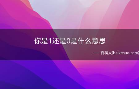你是1还是0是什么梗(你是1还是0是什么意思)