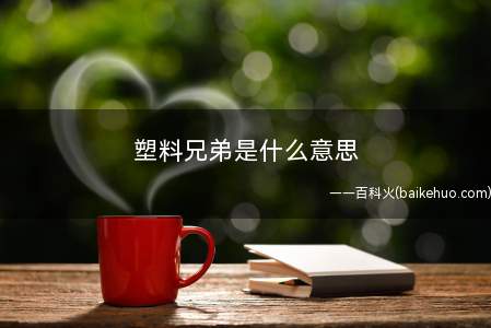 塑料兄弟是什么梗(“塑料兄弟”是什么意思)