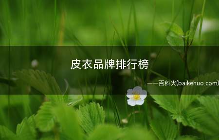 皮衣品牌排行榜(皮衣品牌排行榜:倘若你的身材较好,属于修长身型,那么长款皮衣)