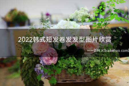 2022韩式短发卷发发型图片欣赏(短发近年来在发型界所占的位置越来越重)