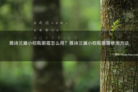 雅诗兰黛小棕瓶眼霜怎么用?雅诗兰黛小棕瓶眼霜使用方法