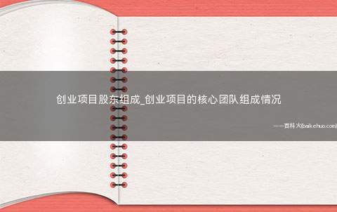 创业项目股东组成_创业项目的核心团队组成情况