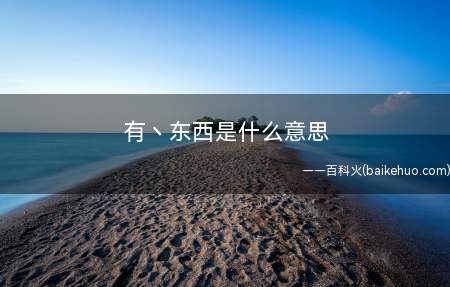 有丶东西是什么意思