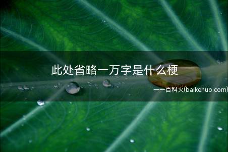 此处省略一万字是什么梗(此处省略一万字是什么意思)