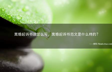 离婚起诉书该怎么写,离婚起诉书范文是什么样的?