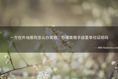 一方在外地服刑怎么办离婚,办理离婚手续要单位证明吗