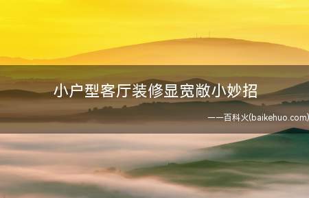 小户型客厅装修显宽敞小妙招