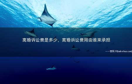 离婚诉讼费是多少,离婚诉讼费用由谁来承担