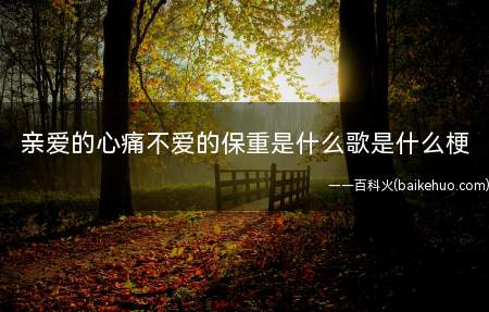 亲爱的心痛不爱的保重是什么歌是什么梗(亲爱的心痛不爱的保重是什么)