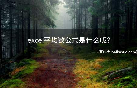 excel平均数公式是什么(Excel求平均数公式)