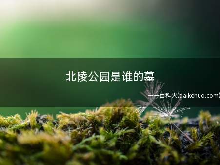 北陵公园是谁的墓(沈阳北陵公园的建造特点)