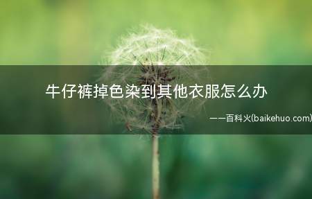 牛仔裤掉色染到其他衣服怎么办(牛仔裤买回来后,这三种方法可以达到让已经染了色的衣服恢复原样)