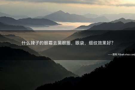 什么牌子的眼霜去黑眼圈,眼袋,细纹效果好?