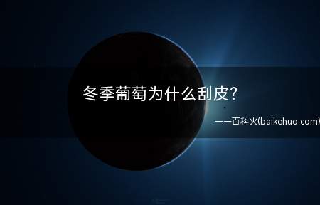 冬季葡萄为什么刮皮(冬季刮除葡萄老、死树皮不但可以消灭)