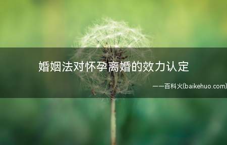 婚姻法对怀孕离婚的效力认定