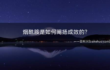 烟酰胺是如何阐扬成效的(烟酰胺又叫维生素B3,它遍及存在于各类生物体中)