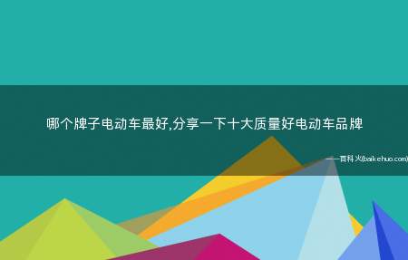 哪个牌子电动车最好,分享一下十大质量好电动车品牌