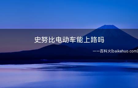 史努比电动车能上路吗 史努比电动车为什么不让上路(史努比电动车是不能上路行驶的)