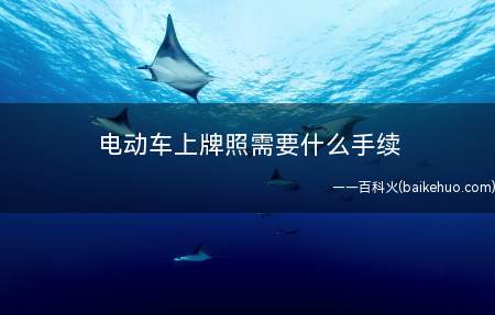 电动车上牌照需要什么手续 怎样办理电动车牌照(上动车上牌照需要哪些手续)