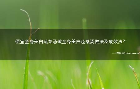 便宜全身美白蔬菜汤做全身美白蔬菜汤做法及成效法?