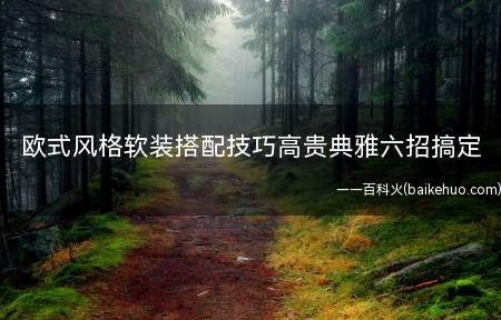 欧式风格软装搭配技巧高贵典雅六招搞定(欧式风格软装搭配技巧分享)