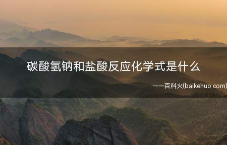 碳酸氢钠和盐酸反应化学式是什么(碳酸氢钠与盐酸反应化学方程式)