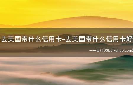 去美国带什么信用卡-去美国带什么信用卡好(去美国用什么信用卡好啊)