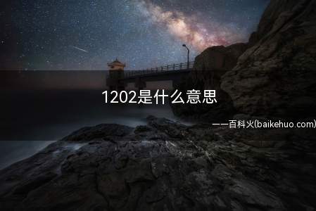 1202是什么意思