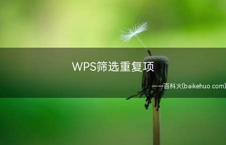 WPS筛选重复项