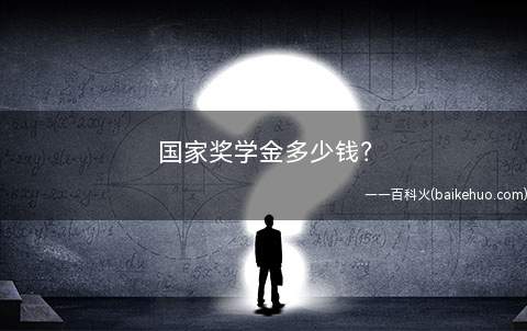 国家奖学金多少钱(申请国家励志奖学金的决定性因素)