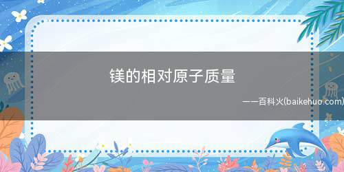 镁的相对原子质量