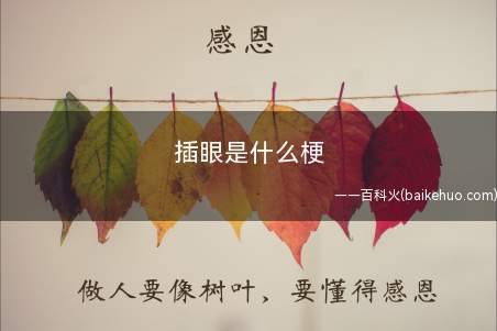 插眼是什么意思
