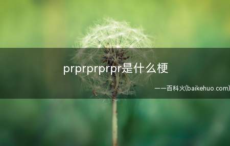 prprprprpr是什么意思