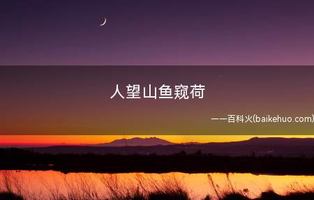 人望山鱼窥荷什么意思