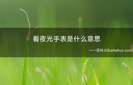 看夜光手表是什么意思
