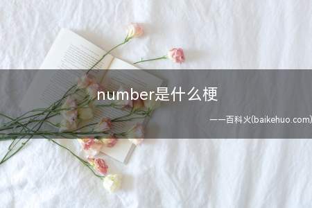 number是什么梗(number是什么意思)