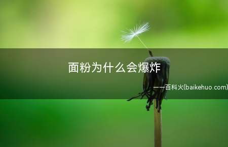面粉为什么会爆炸