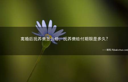 离婚后抚养费怎么给,抚养费给付期限是多久?