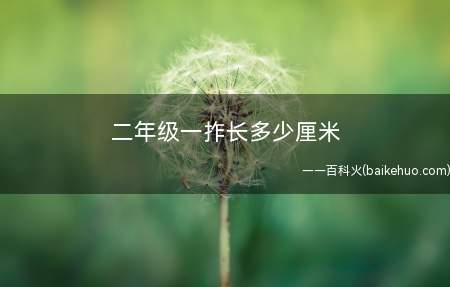 二年级一拃长多少厘米