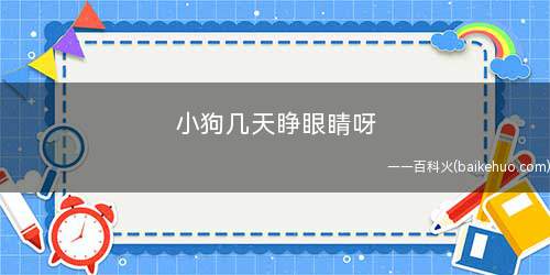 小狗几天睁眼睛呀