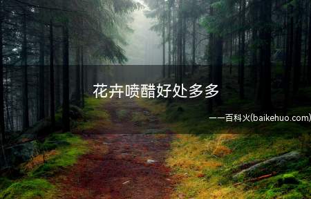花卉喷醋好处多多