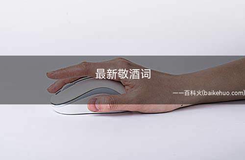 最新敬酒词