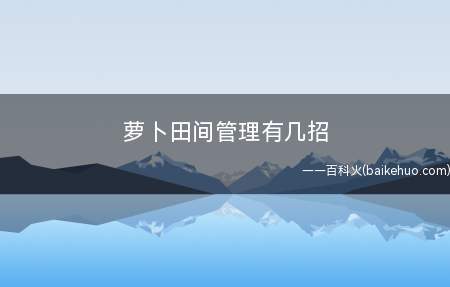 萝卜田间管理有几招