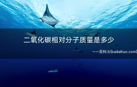 二氧化碳相对分子质量是多少(二氧化碳化学方程式及性质)